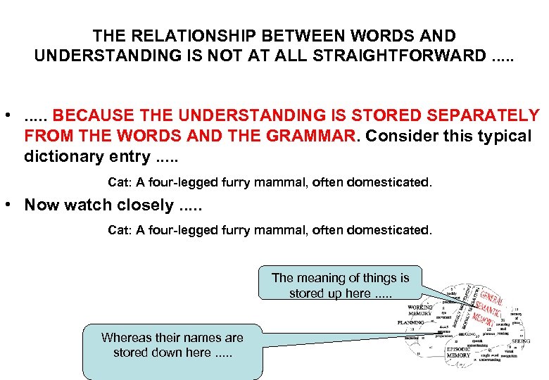 THE RELATIONSHIP BETWEEN WORDS AND UNDERSTANDING IS NOT AT ALL STRAIGHTFORWARD. . . •