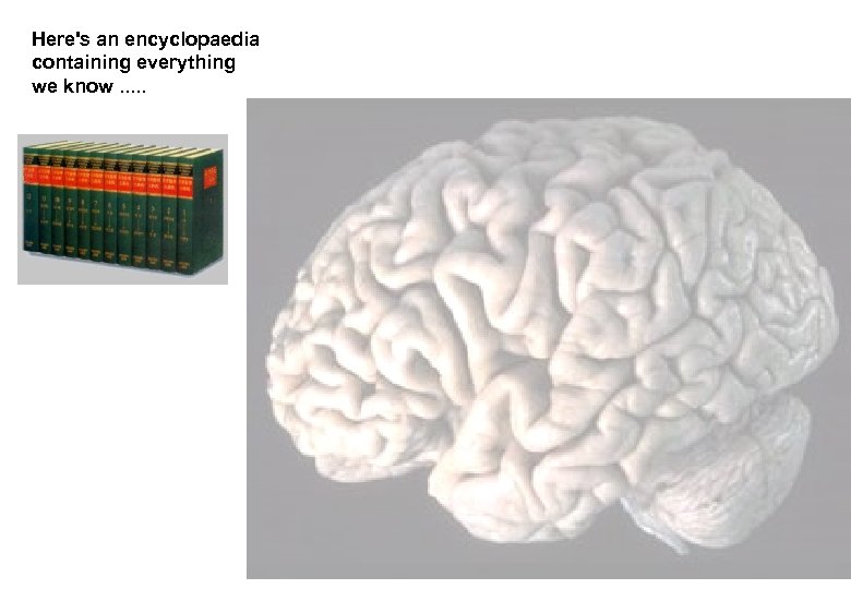 Here's an encyclopaedia containing everything we know. . . 