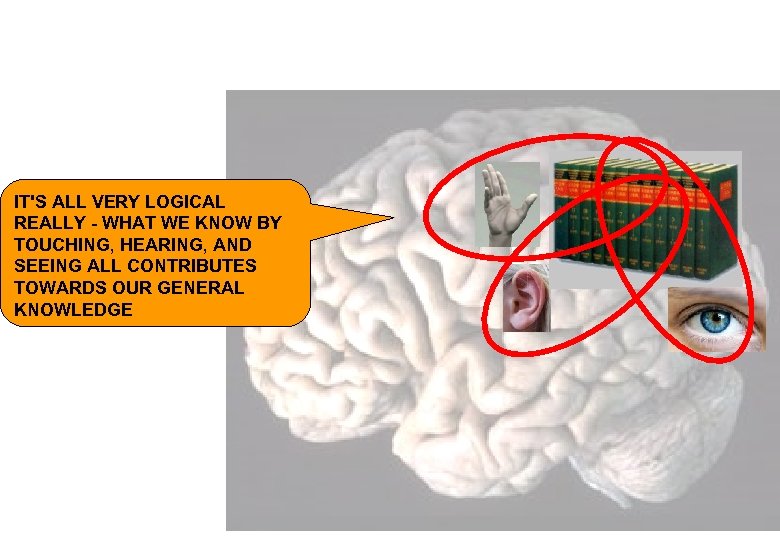 IT'S ALL VERY LOGICAL REALLY - WHAT WE KNOW BY TOUCHING, HEARING, AND SEEING