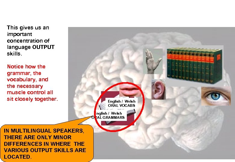 This gives us an important concentration of language OUTPUT skills. Notice how the grammar,