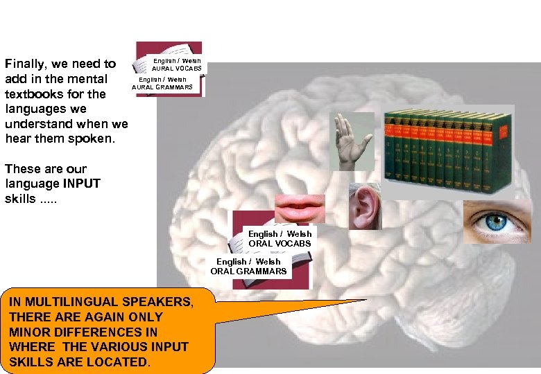 English / Welsh Finally, we need to AURAL VOCABS English / Welsh add in