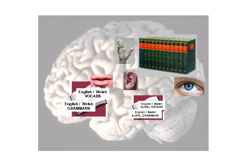 English / Welsh VOCABS English / Welsh GRAMMARS English / Welsh AURAL VOCABS English