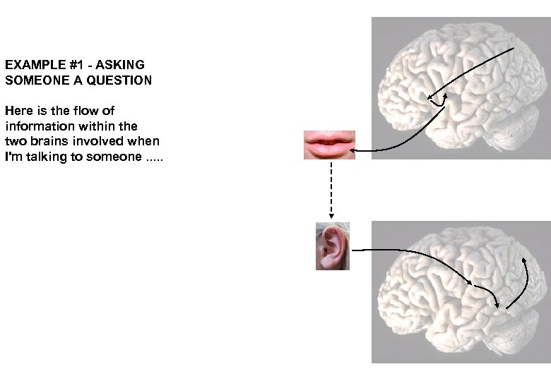 EXAMPLE #1 - ASKING SOMEONE A QUESTION Here is the flow of information within