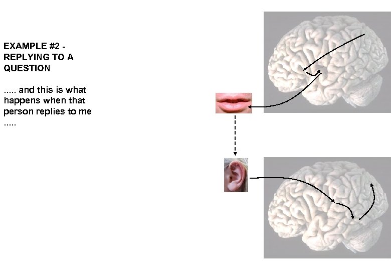EXAMPLE #2 REPLYING TO A QUESTION. . . and this is what happens when