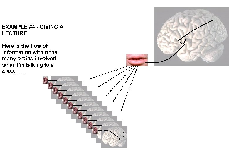 EXAMPLE #4 - GIVING A LECTURE Here is the flow of information within the