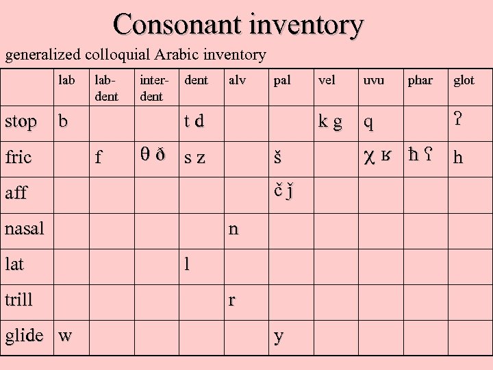 Consonant inventory generalized colloquial Arabic inventory lab stop labdent b fric interdent alv f
