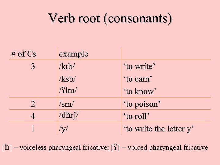 Verb root (consonants) # of Cs 3 2 4 1 example /ktb/ /ksb/ /