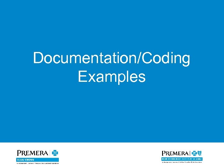 Documentation/Coding Examples 