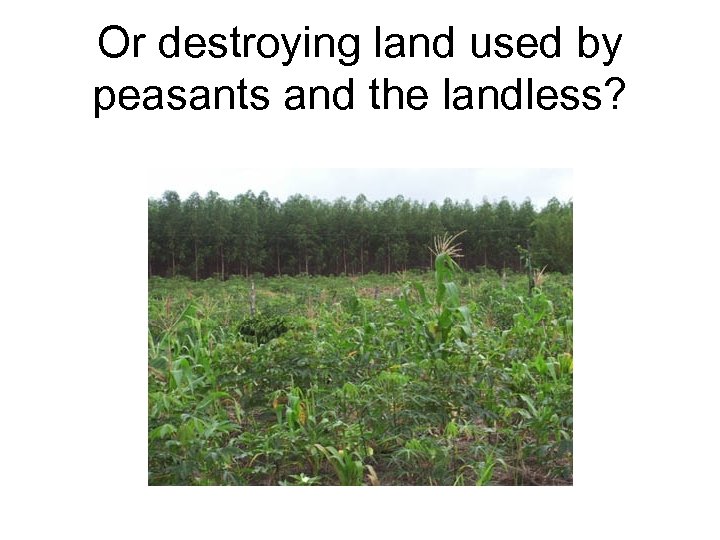 Or destroying land used by peasants and the landless? 