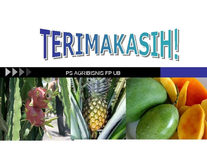 PS AGRIBISNIS FP UB 