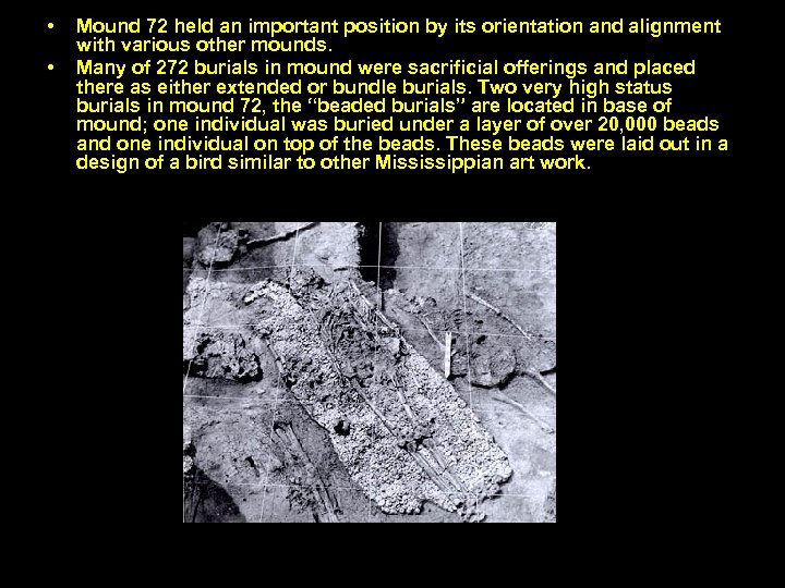  • • Mound 72 held an important position by its orientation and alignment