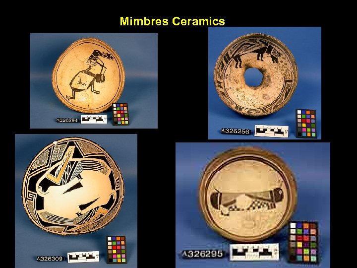 Mimbres Ceramics 