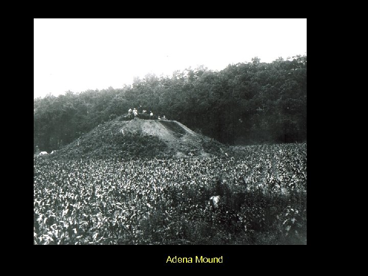 Adena Mound 