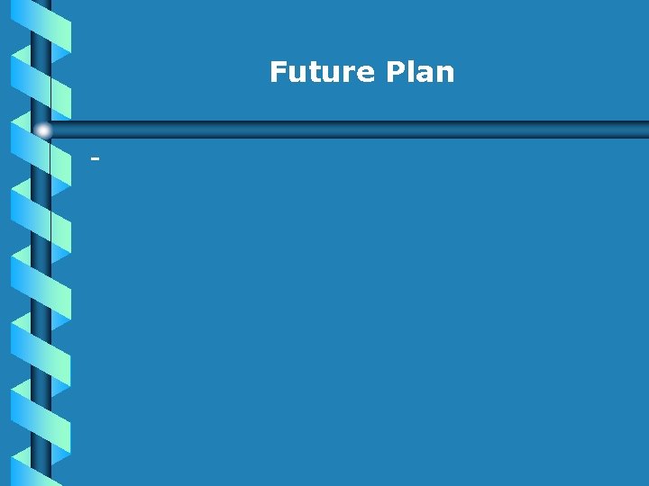 Future Plan - 