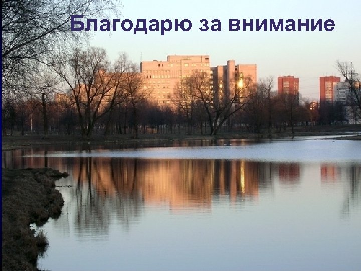 Благодарю за внимание 