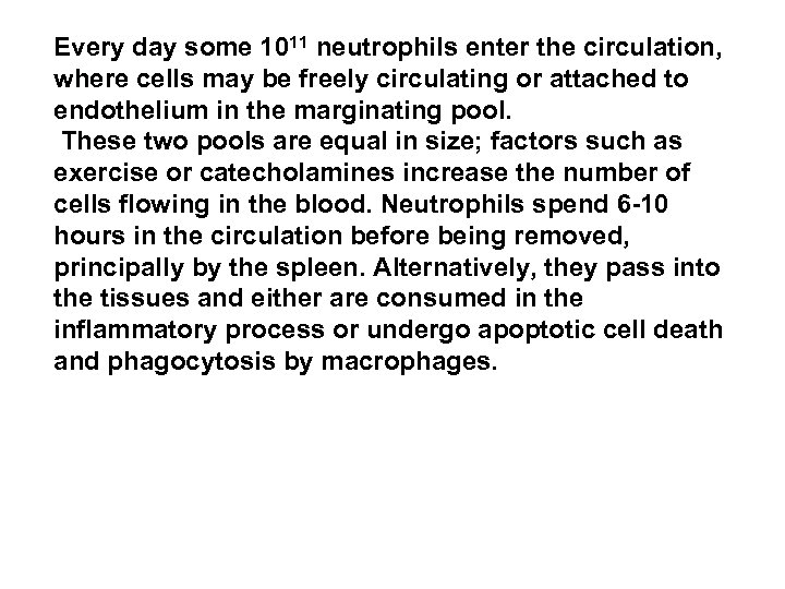 Every day some 1011 neutrophils enter the circulation, . where cells may be freely