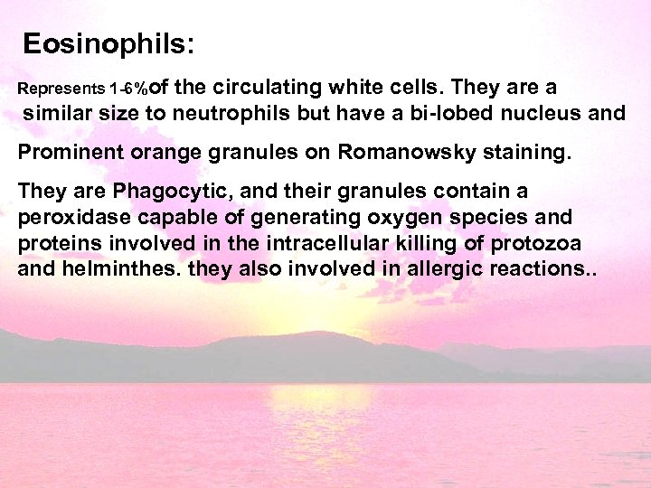 Eosinophils: Represents 1 -6%of the circulating white cells. They are a similar size to