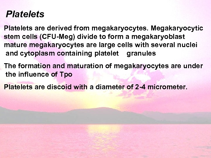 Platelets are derived from megakaryocytes. Megakaryocytic stem cells (CFU-Meg) divide to form a megakaryoblast