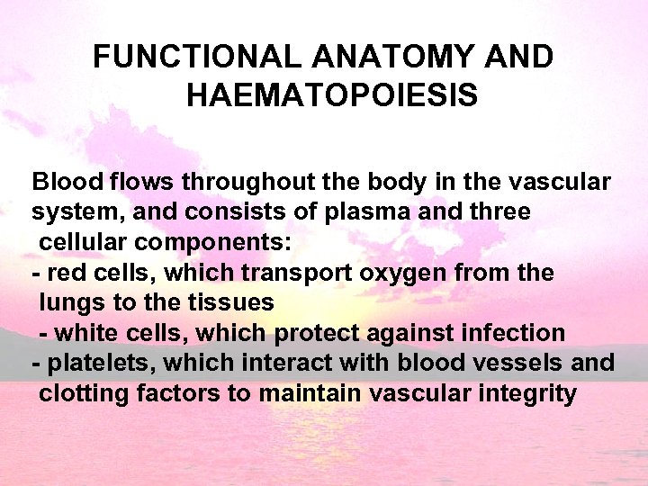 FUNCTIONAL ANATOMY AND HAEMATOPOIESIS Blood flows throughout the body in the vascular system, and