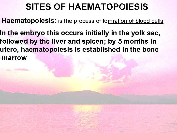SITES OF HAEMATOPOIESIS Haematopoiesis: is the process of formation of blood cells In the