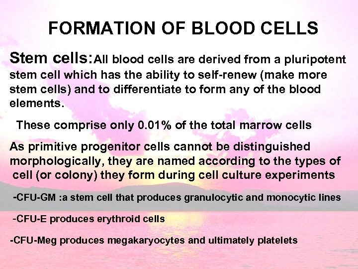 FORMATION OF BLOOD CELLS Stem cells: All blood cells are derived from a pluripotent