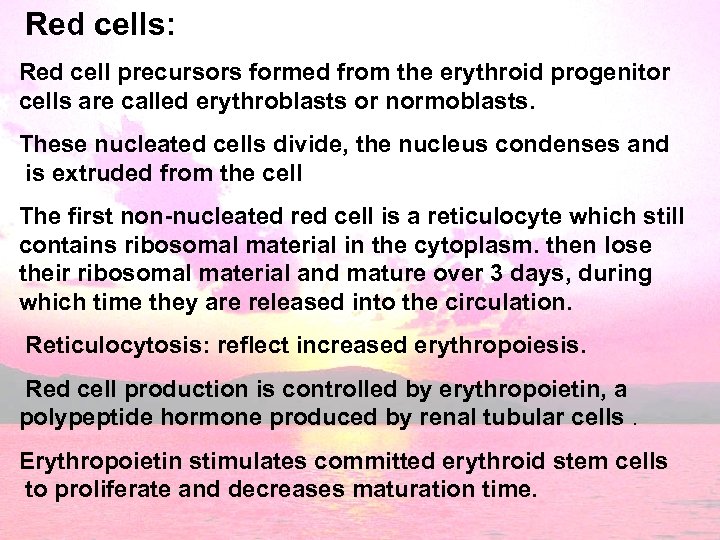 Red cells: Red cell precursors formed from the erythroid progenitor cells are called erythroblasts
