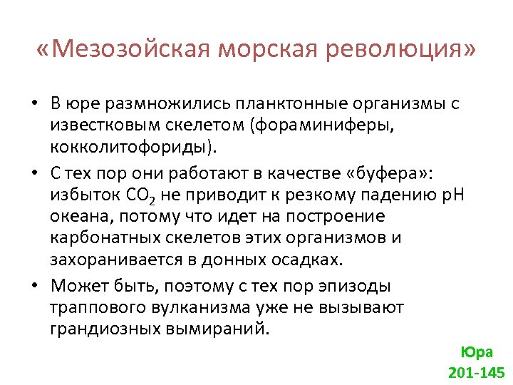 «Мезозойская морская революция» • В юре размножились планктонные организмы с известковым скелетом (фораминиферы,
