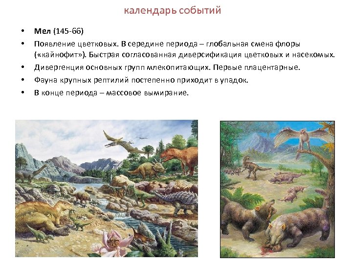 календарь событий • • • Мел (145 -66) Появление цветковых. В середине периода –
