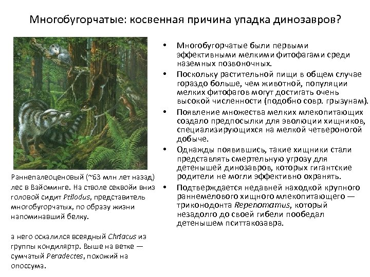 Многобугорчатые: косвенная причина упадка динозавров? • • Раннепалеоценовый (~63 млн лет назад) лес в