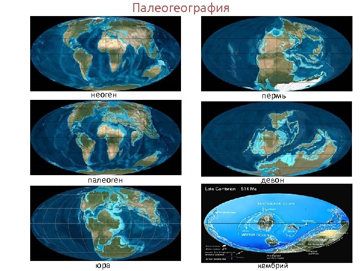 Палеогеография неоген пермь палеоген девон юра кембрий 