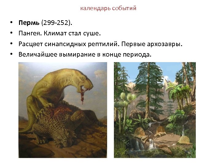 календарь событий • • Пермь (299 -252). Пангея. Климат стал суше. Расцвет синапсидных рептилий.