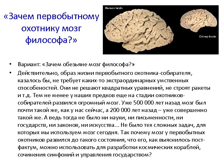  «Зачем первобытному охотнику мозг философа? » • Вариант: «Зачем обезьяне мозг философа? »