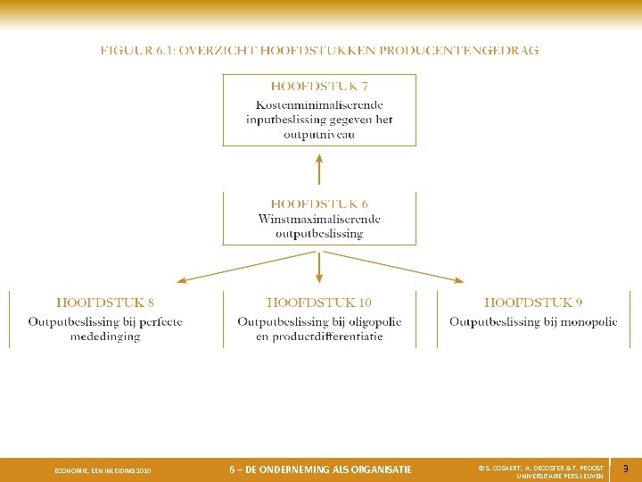 ECONOMIE, EEN INLEIDING 2010 6 – DE ONDERNEMING ALS ORGANISATIE © S. COSAERT, A.