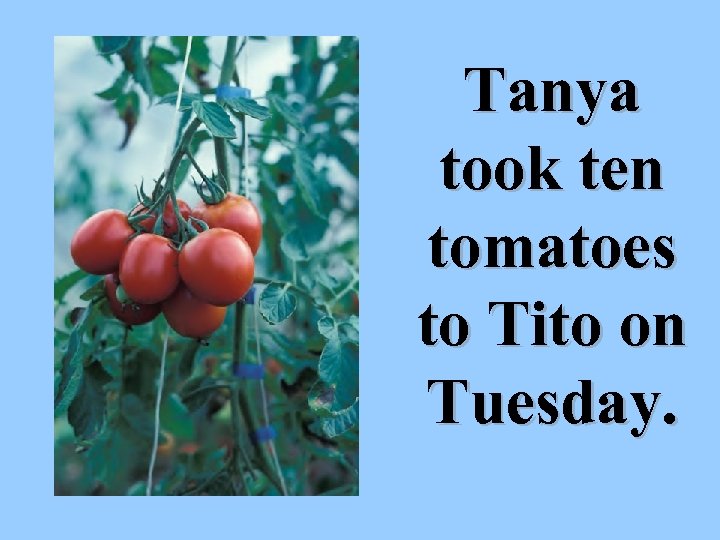 Tanya took ten tomatoes to Tito on Tuesday. 