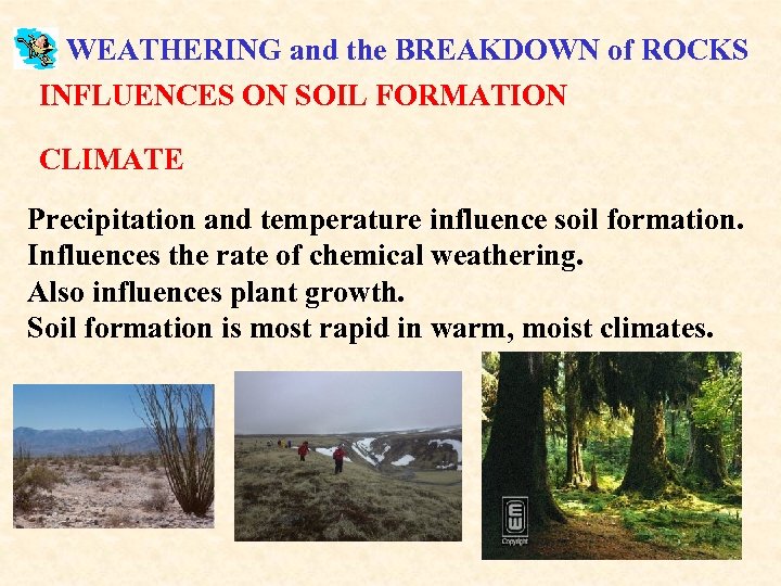 WEATHERING and the BREAKDOWN of ROCKS INFLUENCES ON SOIL FORMATION CLIMATE Precipitation and temperature