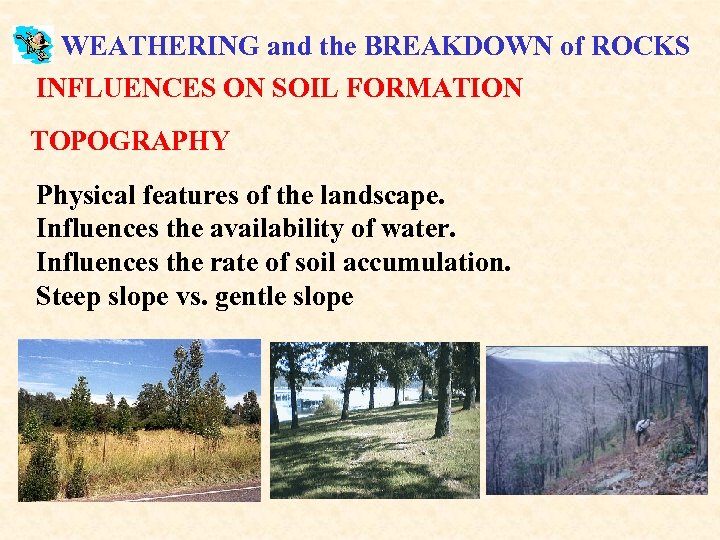 WEATHERING and the BREAKDOWN of ROCKS INFLUENCES ON SOIL FORMATION TOPOGRAPHY Physical features of