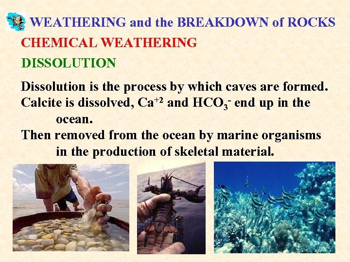 WEATHERING and the BREAKDOWN of ROCKS CHEMICAL WEATHERING DISSOLUTION Dissolution is the process by