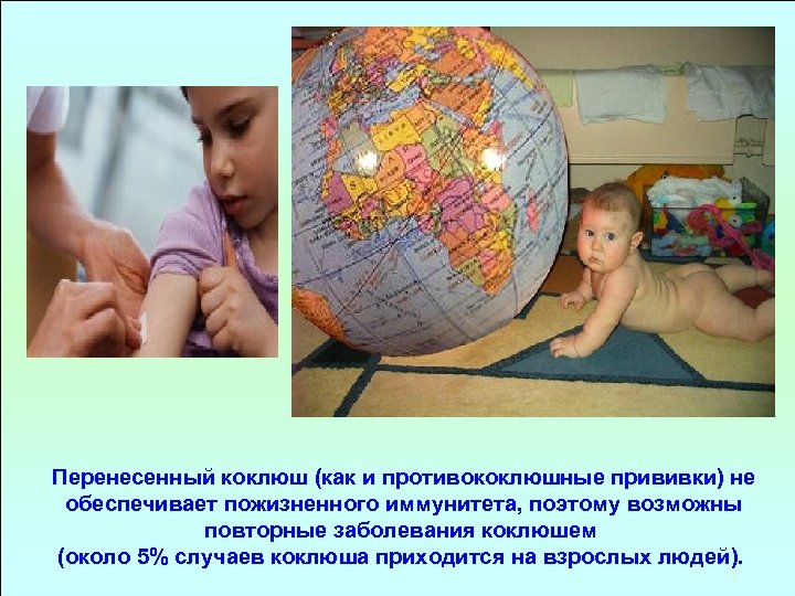 Перенесенный коклюш (как и противококлюшные прививки) не обеспечивает пожизненного иммунитета, поэтому возможны повторные заболевания