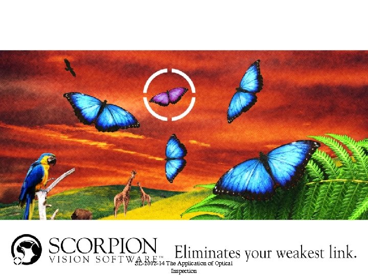 The application of Automated Optical Inspection Helge Jordfald Sales & Marketing Manager Tordivel AS,