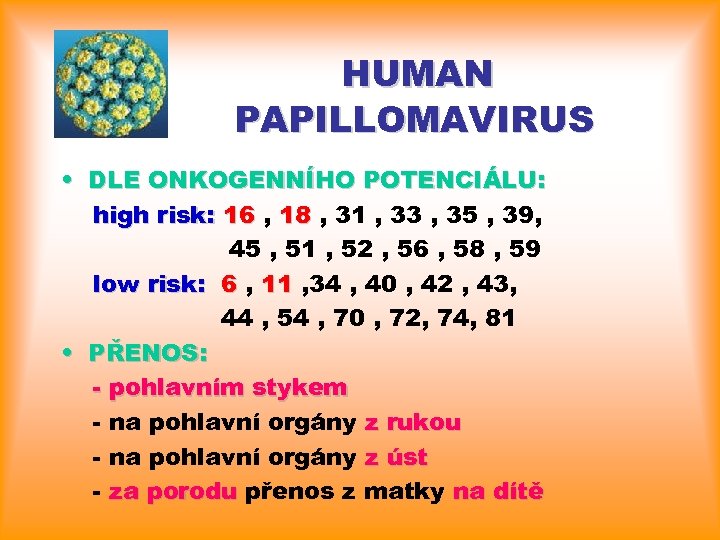 HUMAN PAPILLOMAVIRUS • DLE ONKOGENNÍHO POTENCIÁLU: high risk: 16 , 18 , 31 ,