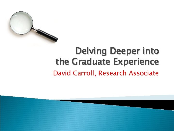 Delving Deeper into the Graduate Experience David Carroll, Research Associate 