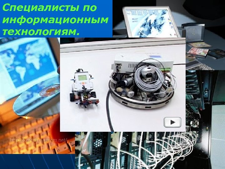 Специалисты по информационным технологиям. 
