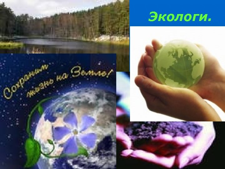 Экологи. 