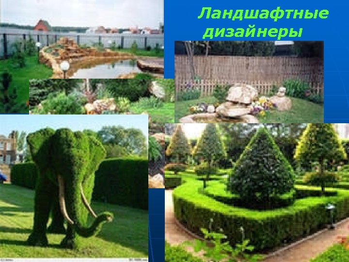 Ландшафтные дизайнеры 