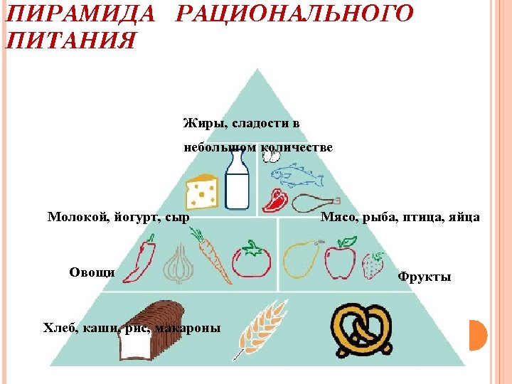 ПИРАМИДА РАЦИОНАЛЬНОГО ПИТАНИЯ Жиры, сладости в небольшом количестве Молокой, йогурт, сыр Овощи Хлеб, каши,