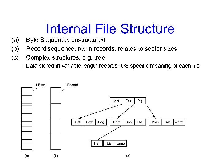 (a) (b) (c) Internal File Structure Byte Sequence: unstructured Record sequence: r/w in records,