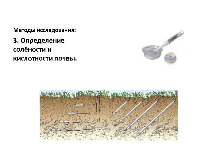 Методы исследования: 3. Определение солёности и кислотности почвы. 