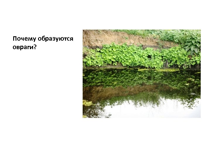 Почему образуются овраги? 