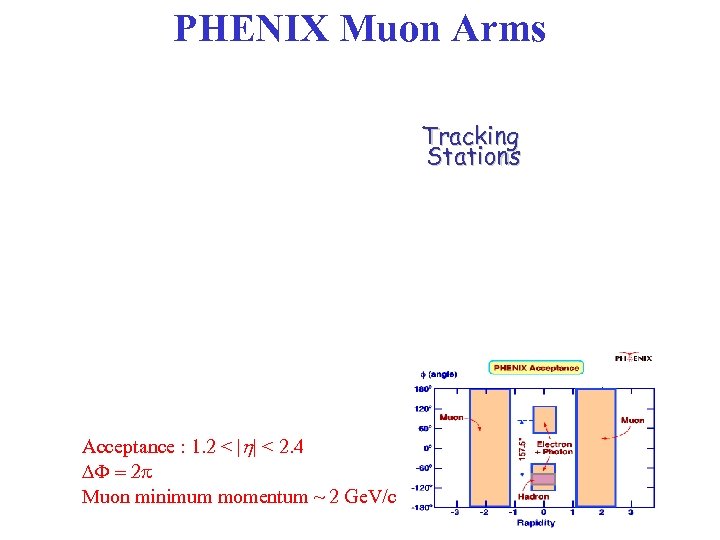 PHENIX Muon Arms Tracking Stations Acceptance : 1. 2 < | | < 2.