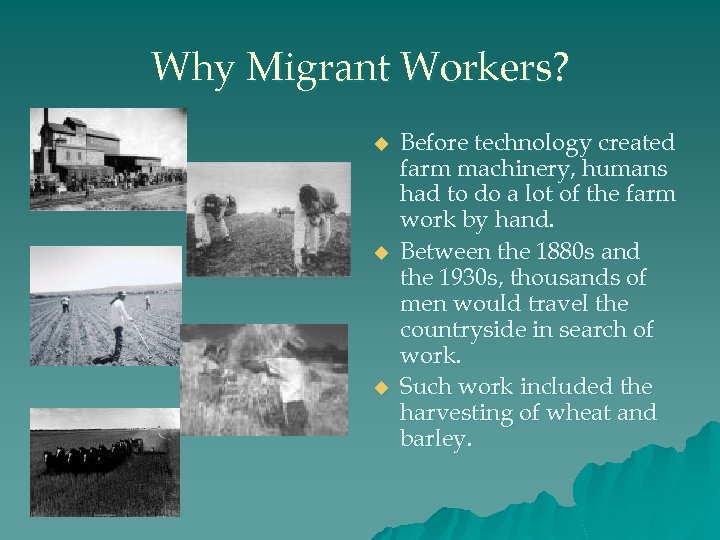 Why Migrant Workers? u u u Before technology created farm machinery, humans had to